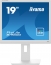 iiyama ProLite B1980D-W5, 19"