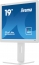 iiyama ProLite B1980D-W5, 19"