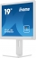 iiyama ProLite B1980D-W5, 19"