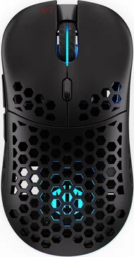 ENDORFY LIX wireless, black, USB
