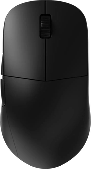 Endgame Gear XM2w 4k wireless Gaming Mouse black, USB