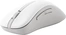 ASUS MD102 wireless Mouse белый, USB/Bluetooth