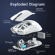 Attack Shark X11 wireless Gaming Mouse белый, USB/Bluetooth
