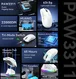 Attack Shark X11 wireless Gaming Mouse red, incl. Grip Tape, USB/Bluetooth
