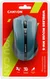 Canyon MW-5 wireless Mouse blue, USB