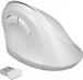DeLOCK ergonomic USB mouse vertical белый, wireless, USB