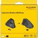 DeLOCK wireless ergonomic vertical optical noiseless 5-button mouse черный, USB