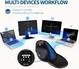 DeLUX Seeker wireless Ergonomic vertical Mouse, black, USB