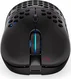 ENDORFY LIX wireless, black, USB