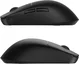 Endgame Gear OP1we wireless Gaming Mouse black, USB