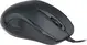Ewent Optical Mouse black, USB