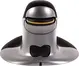 Fellowes Penguin ambidextrous vertical mouse, wireless, size L, black/silver, USB