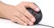 Gembird Ergonomic 6-button Optical Mouse ERGO-01 black, USB