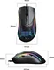 Glorious Model D 2 black, USB
