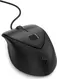 HP USB Fingerprint Mouse, USB
