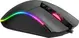 Inca IMG-GT19 RGB Gaming Mouse, USB
