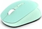 Inca IWM-243RM wireless Mouse бирюзовый, USB