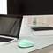 Inca IWM-243RM wireless Mouse бирюзовый, USB