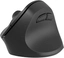 Natec Crake 2 vertical wireless Mouse черный, USB/Bluetooth