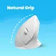 Perixx PERIMICE-713, white, vertical, right hander, USB