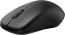 Rapoo 1680 Silent black, USB