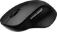 Rapoo M50 Plus Silent wireless Mouse черный, USB
