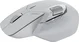 Rapoo MT760L wireless Multi-mode Mouse grey/white, USB/Bluetooth