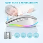 Seenda rechargeable wireless RGB Mouse with Jiggler function, серебро/белый, USB