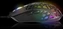Tracer Gamezone Reika RGB черный, USB