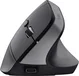 Trust Bayo+ Multidevice Ergonomic wireless Mouse black, ECO certified, USB/Bluetooth