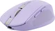 Trust Ozaa Compact wireless Mouse purple, USB/Bluetooth
