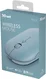 Trust puck wireless Mouse blue, USB/Bluetooth