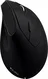 V7 vertical ergonomic wireless mouse black, USB