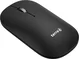 Wortmann Terra NBM1000S wireless BT Mouse black, USB/Bluetooth