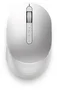 Dell MS7421W Premier rechargeable wireless Mouse, Platinum Silver, USB/Bluetooth