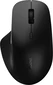 Rapoo M50 Plus Silent wireless Mouse черный, USB