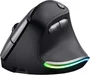 Trust Bayo wireless rechargeable Ergonomic Mouse black/grey, ECO ...