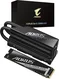 GIGABYTE AORUS Gen5 12000 SSD 2TB, M.2 2280 / M-Key / PCIe 5.0 x4, с радиатором