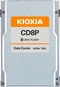 KIOXIA CD8P-R Data Center - 1DWPD Read Intensive SSD 7.68TB, SIE,...