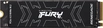 Kingston FURY Renegade SSD 500GB, M.2 2280 / M-Key / PCIe 4.0 x4