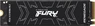 Kingston FURY Renegade SSD 1TB, M.2 2280 / M-Key / PCIe 4.0 x4