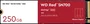 Western Digital Red SN700 NVMe NAS SSD - 1DWPD 250GB, M.2 2280 / ...