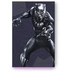 Seagate FireCuda Gaming HDD - Black Panther Special Edition, 2TB, +Rescue, USB 3.0 Micro-B