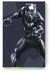 Seagate FireCuda Gaming HDD - Black Panther Special Edition, 2TB, +Rescue, USB 3.0 Micro-B