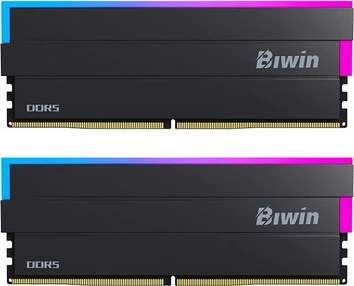 Biwin Black Opal DW100 RGB Black UDIMM 32GB Kit, DDR5-8200, CL36-47-47-126, 1RX8