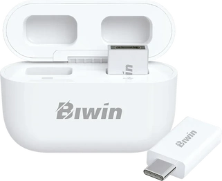 Biwin UD400 256GB, USB-C 3.0