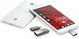 PQI Connect 201 32GB, USB-A 2.0/USB 2.0 Micro-B